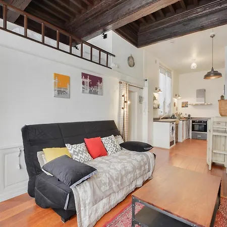 Appartement Le Cocon Des Deux Sirenes - Cosy Pour 2 A Nancy