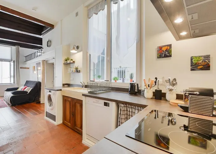 Apartment Le Cocon Des Deux Sirenes - Cosy Pour 2 A Nancy